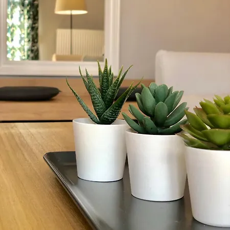 M&s Design House Appartement *